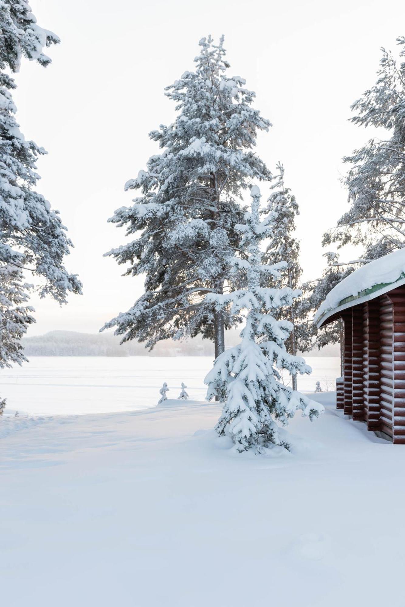 Lapland Arctic Cabins Кемиярви Экстерьер фото
