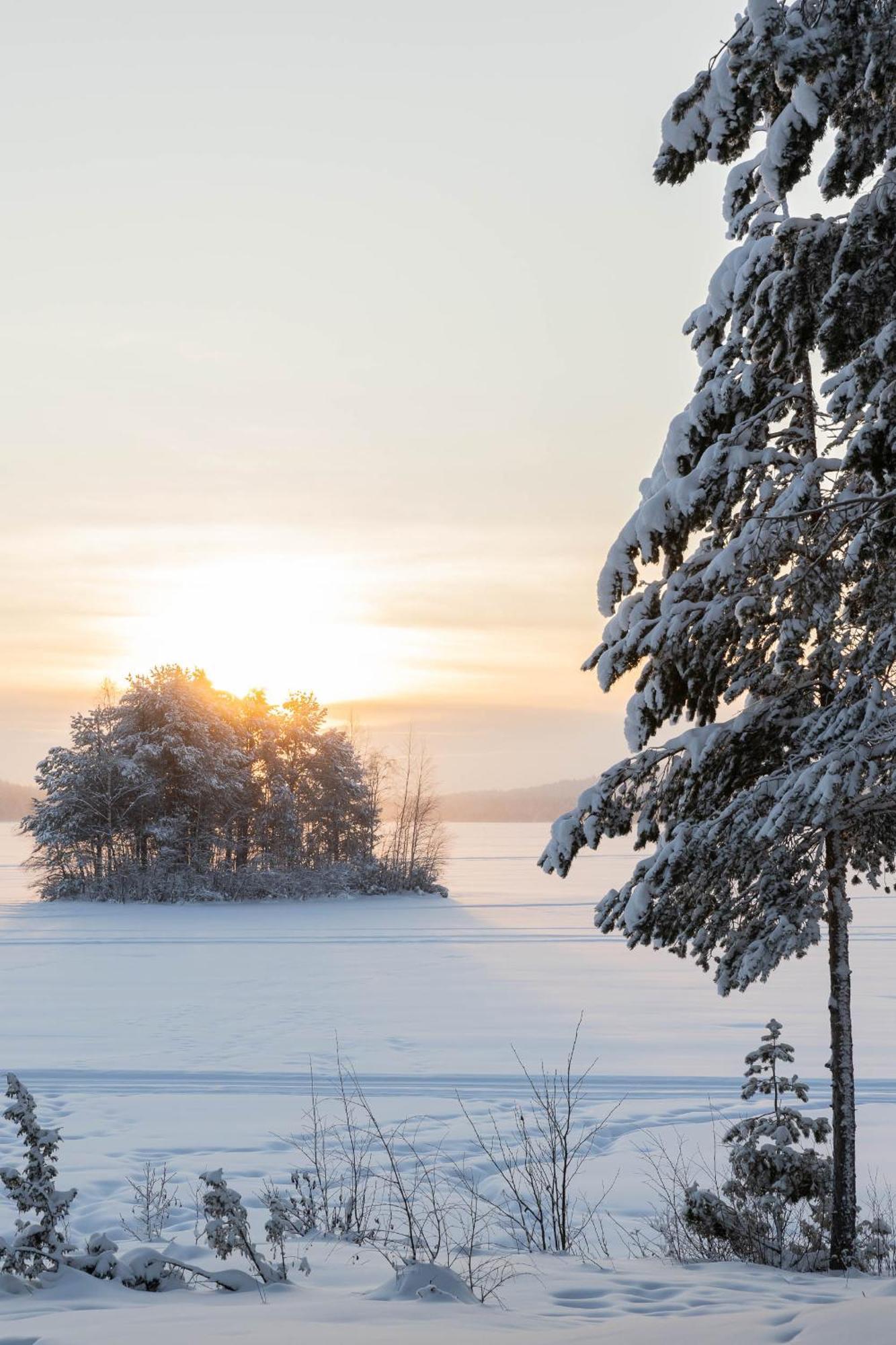 Lapland Arctic Cabins Кемиярви Экстерьер фото