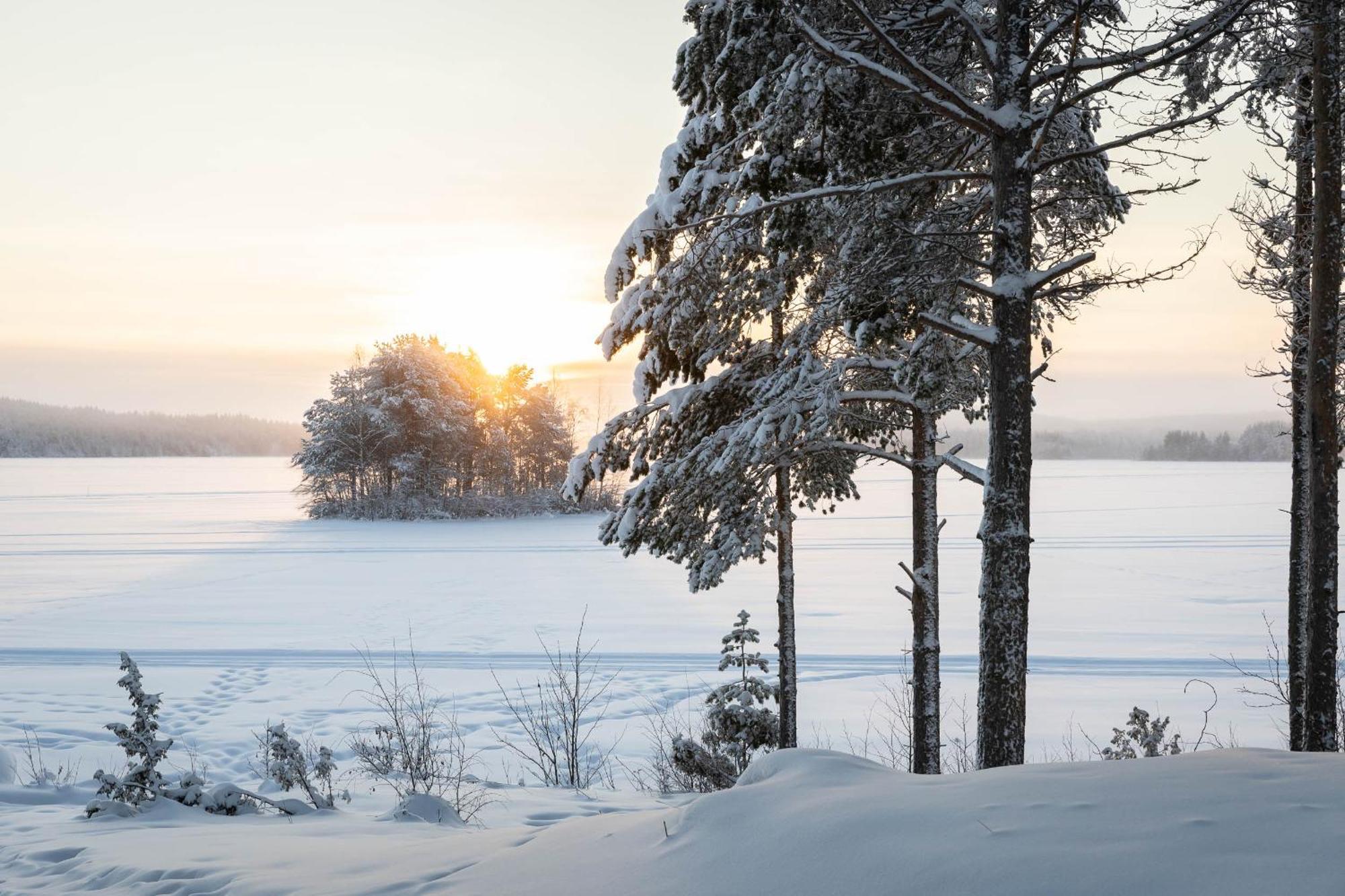 Lapland Arctic Cabins Кемиярви Экстерьер фото