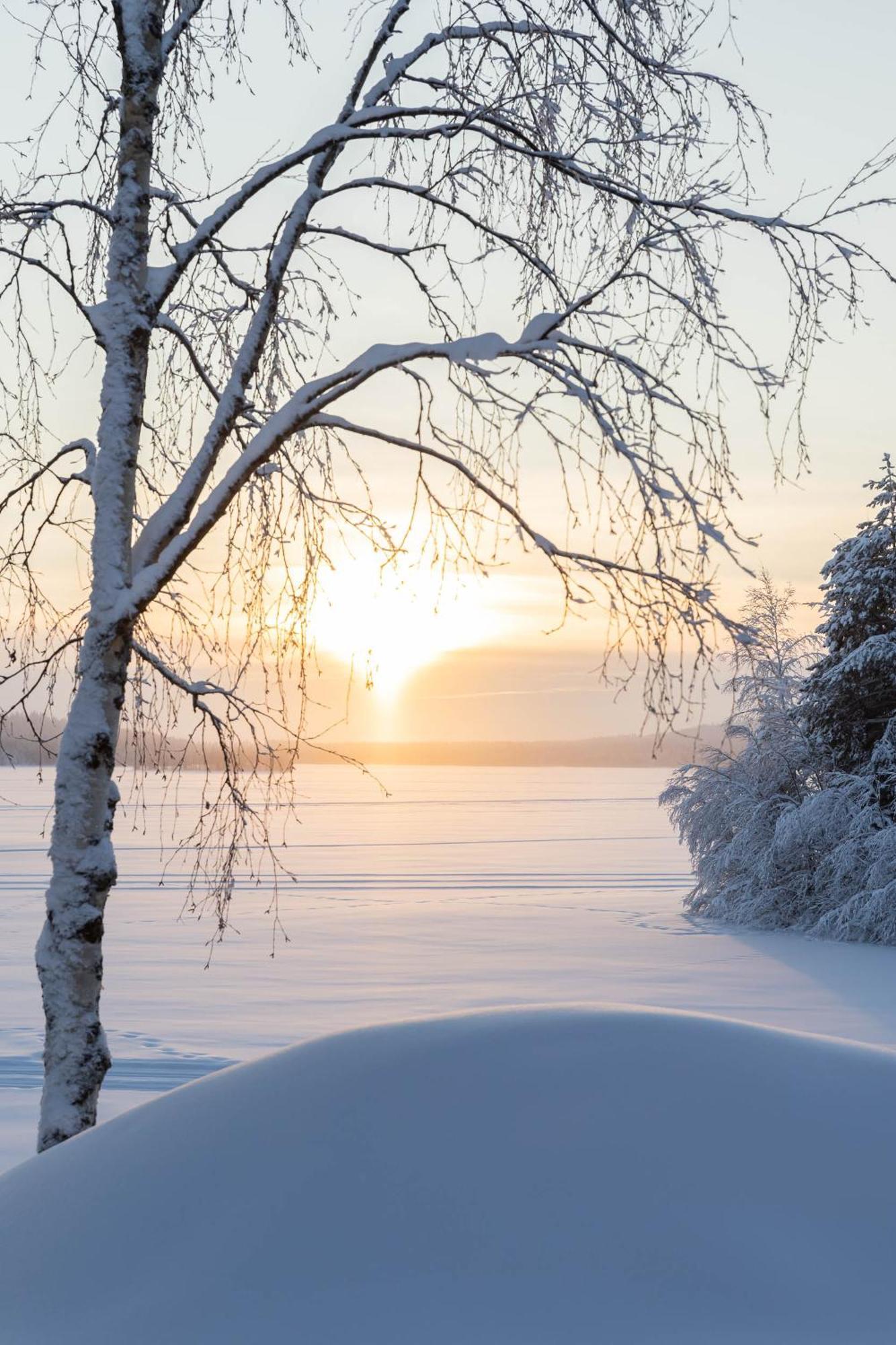 Lapland Arctic Cabins Кемиярви Экстерьер фото