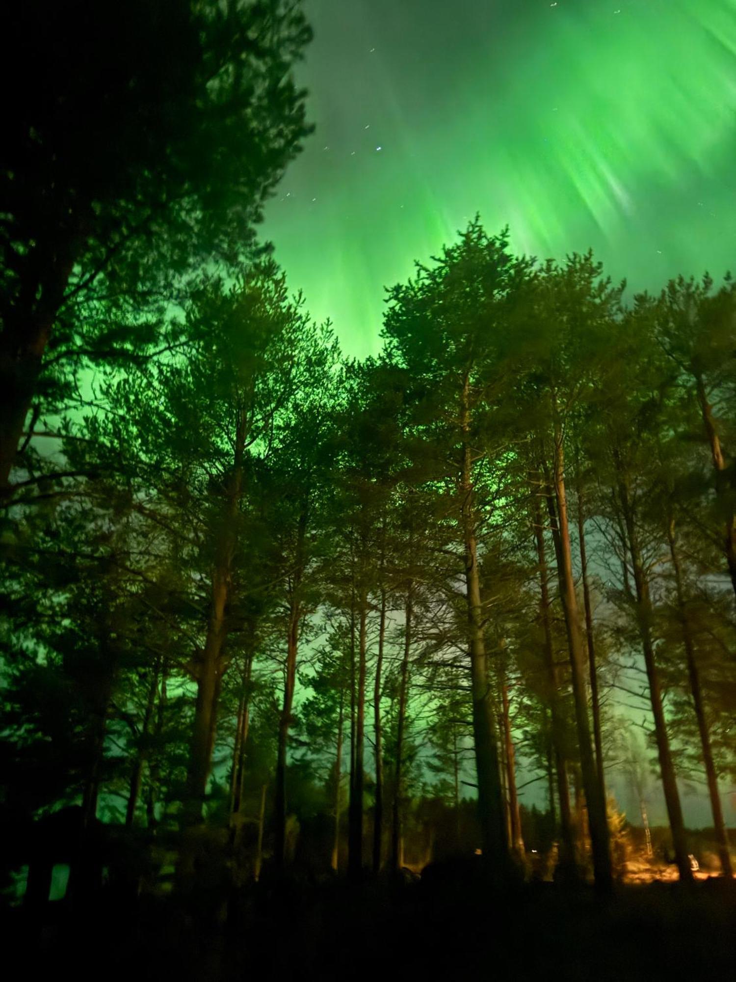 Lapland Arctic Cabins Кемиярви Экстерьер фото
